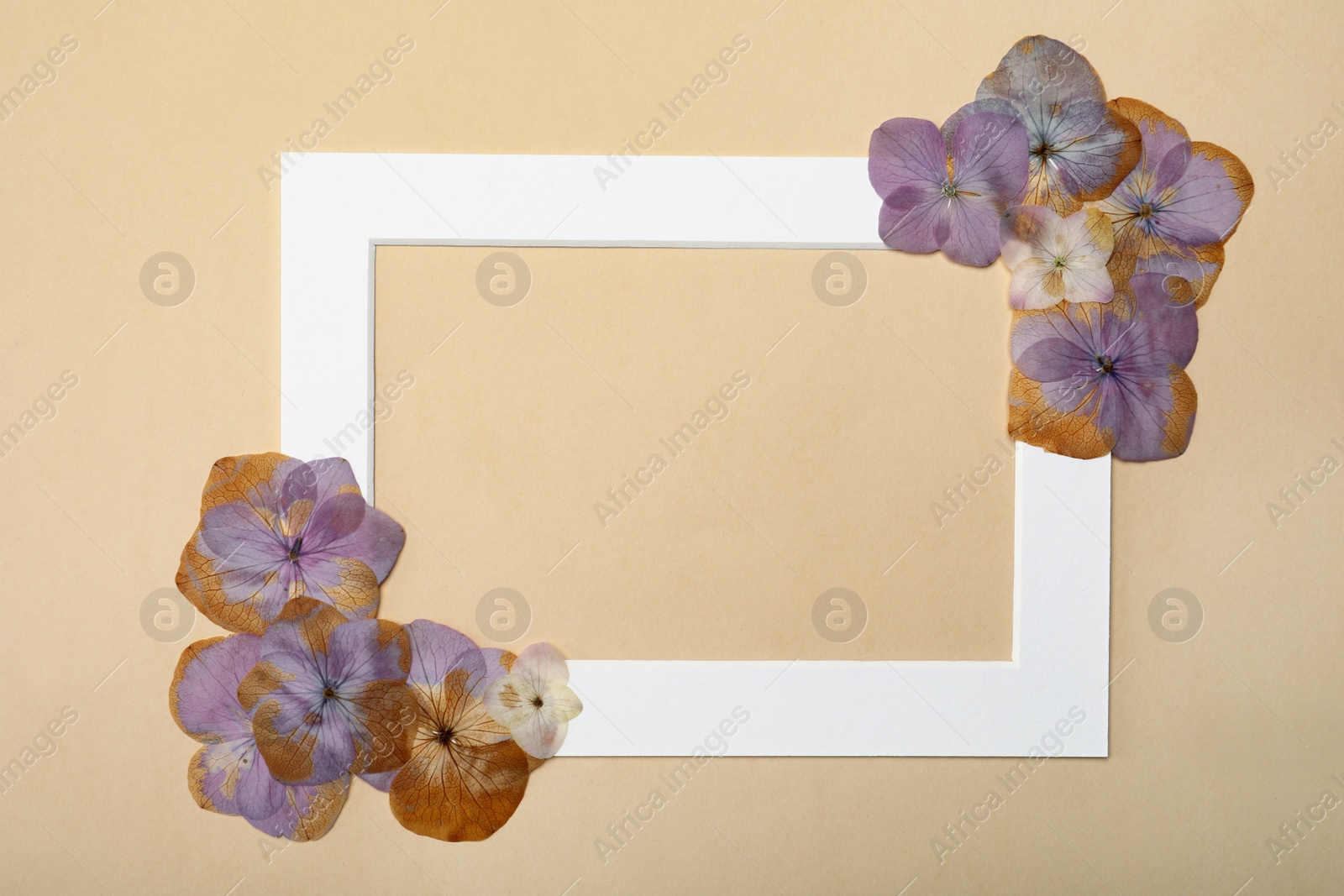 Photo of Frame with wild dried meadow flowers on beige background, flat lay. Space for text