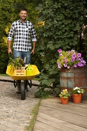 Male gardener with wheelbarrow and plants outdoors
