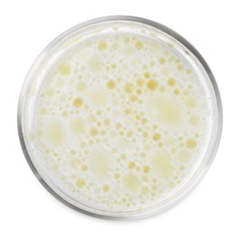 Petri dish with color liquid sample isolated on white, top view