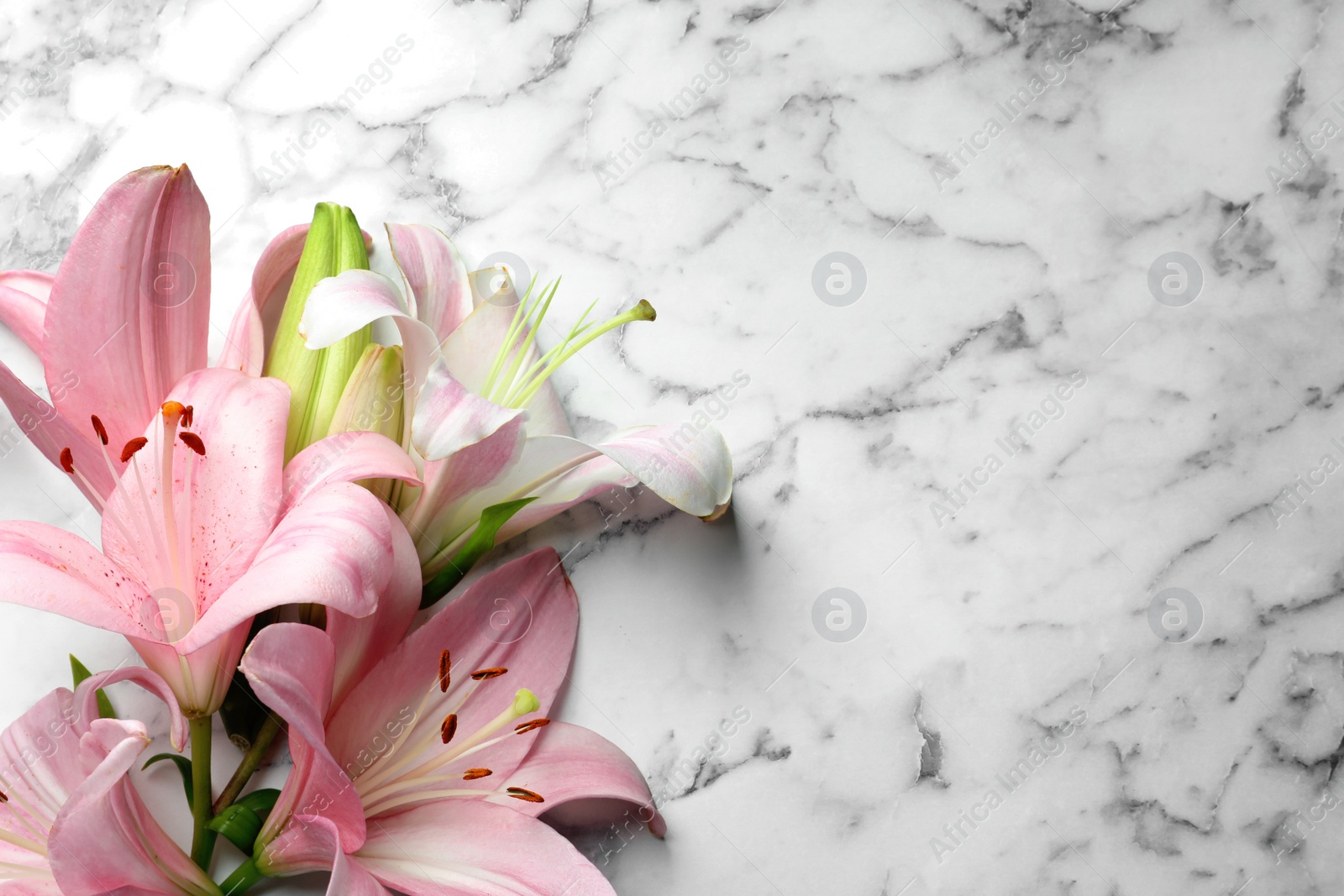 Photo of Flat lay composition with lily flowers on marble background