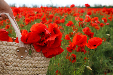 Woman holding handbag with poppy flowers in beautiful field, closeup