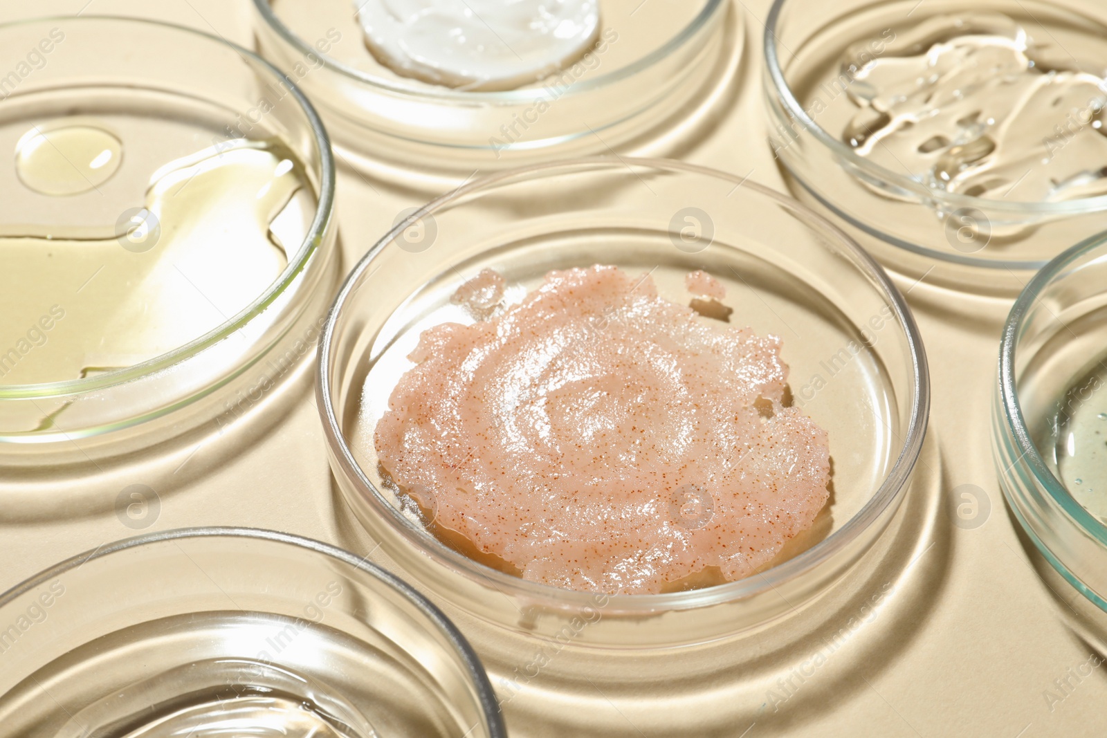 Photo of Many Petri dishes and cosmetic products on beige background, closeup
