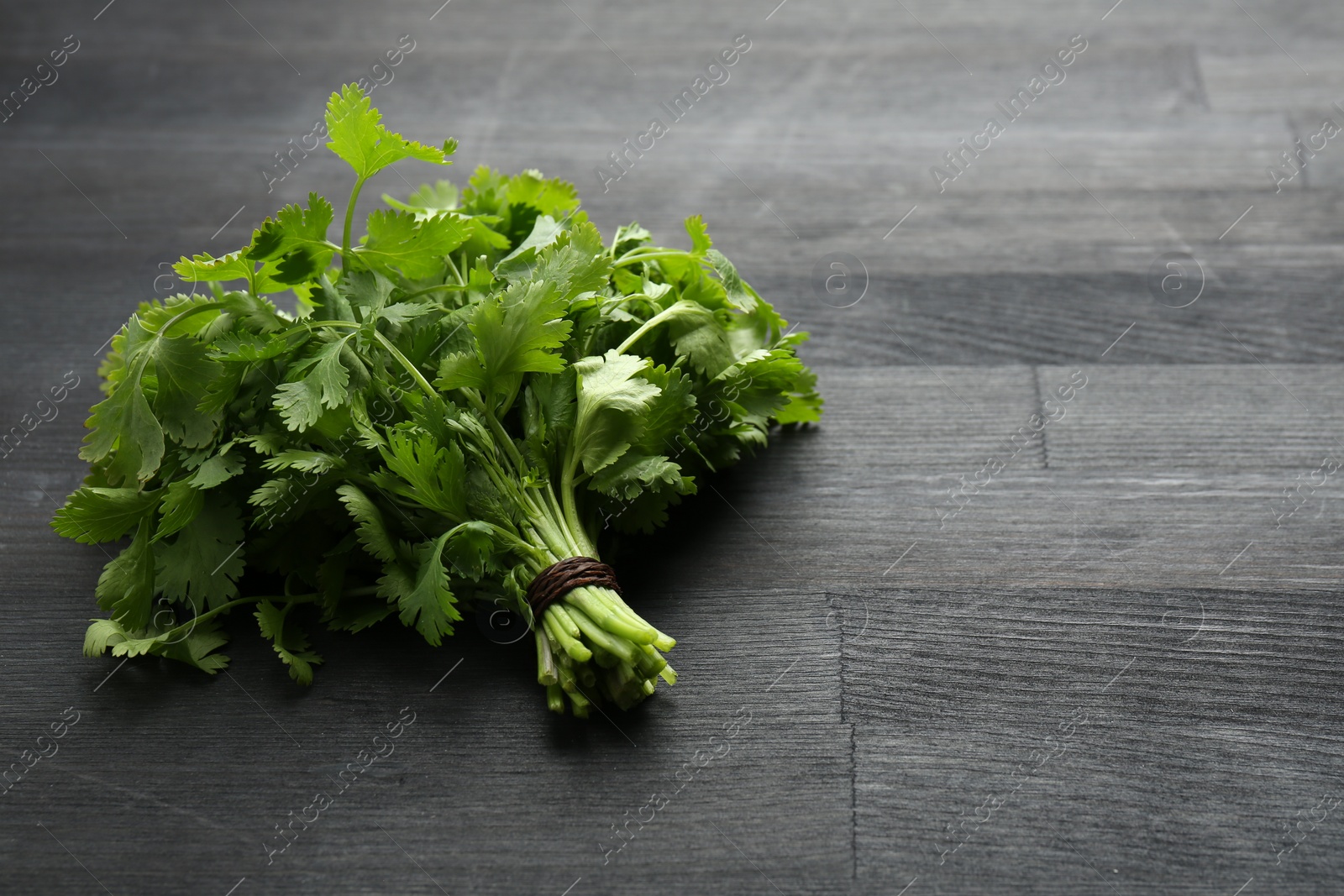 Photo of Bunch of fresh coriander on black wooden table. Space for text