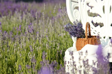 Photo of Wicker bag with beautiful lavender flowers on chair in field, space for text