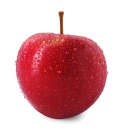 Photo of One ripe red apple with water drops isolated on white