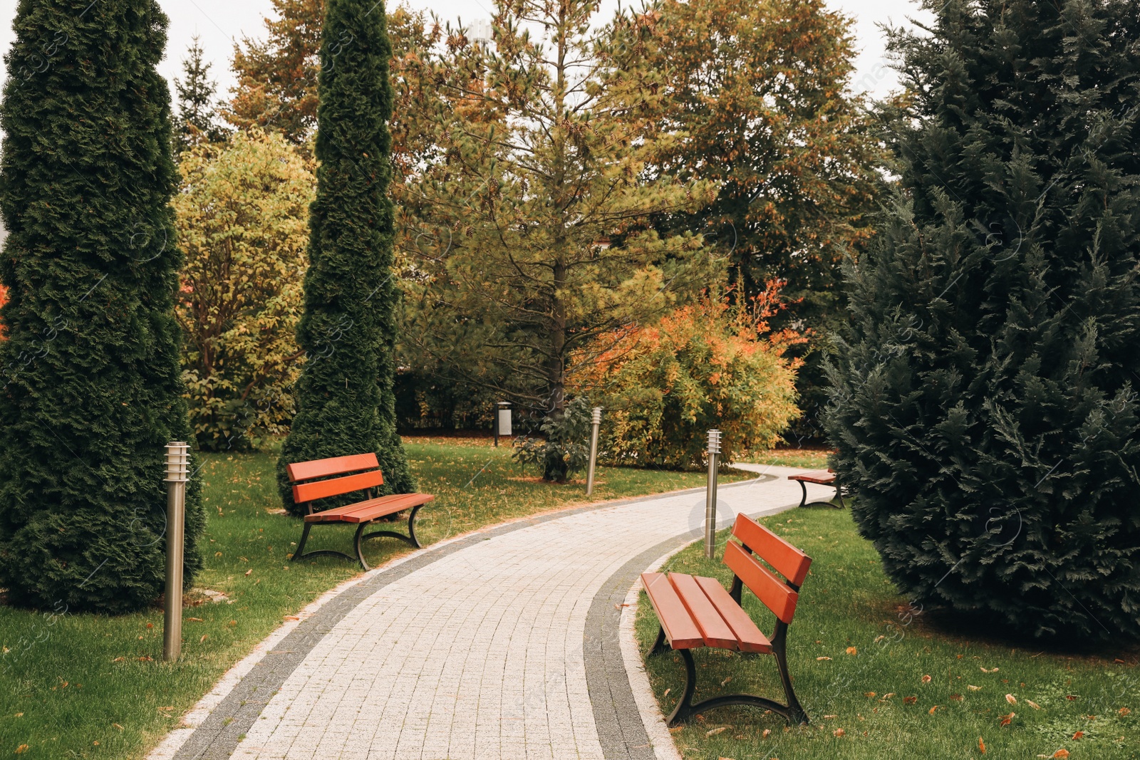 Photo of Winding pathway with beautiful bushes and benches in park