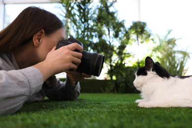 Photo of Professional animal photographer taking picture of beautiful cat outdoors