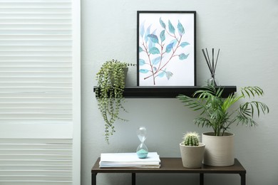 Beautiful potted plants and different accessories near grey wall indoors. Interior design