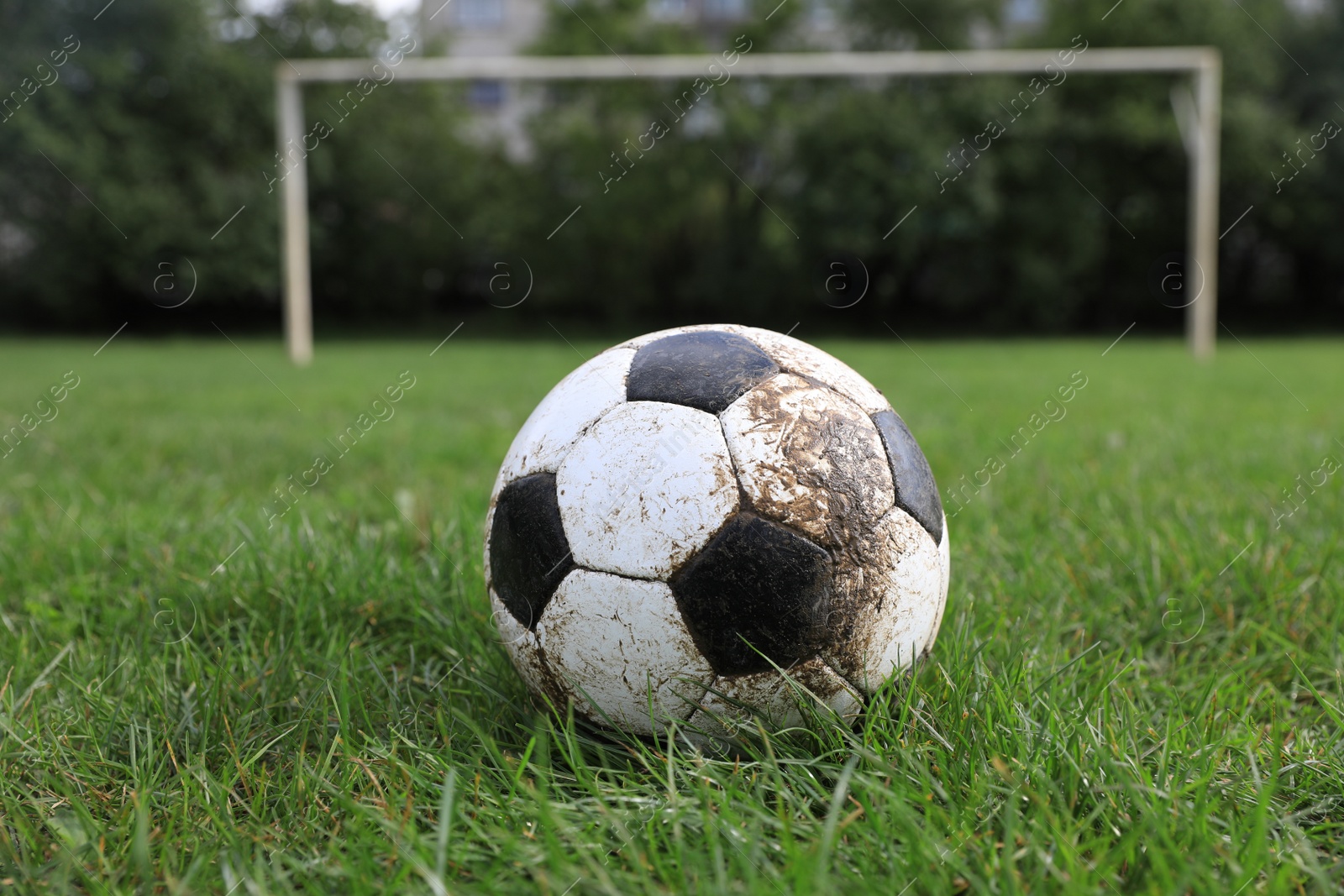 Photo of Dirty soccer ball on green grass outdoors