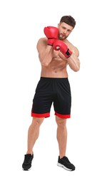 Photo of Man putting on boxing gloves against white background