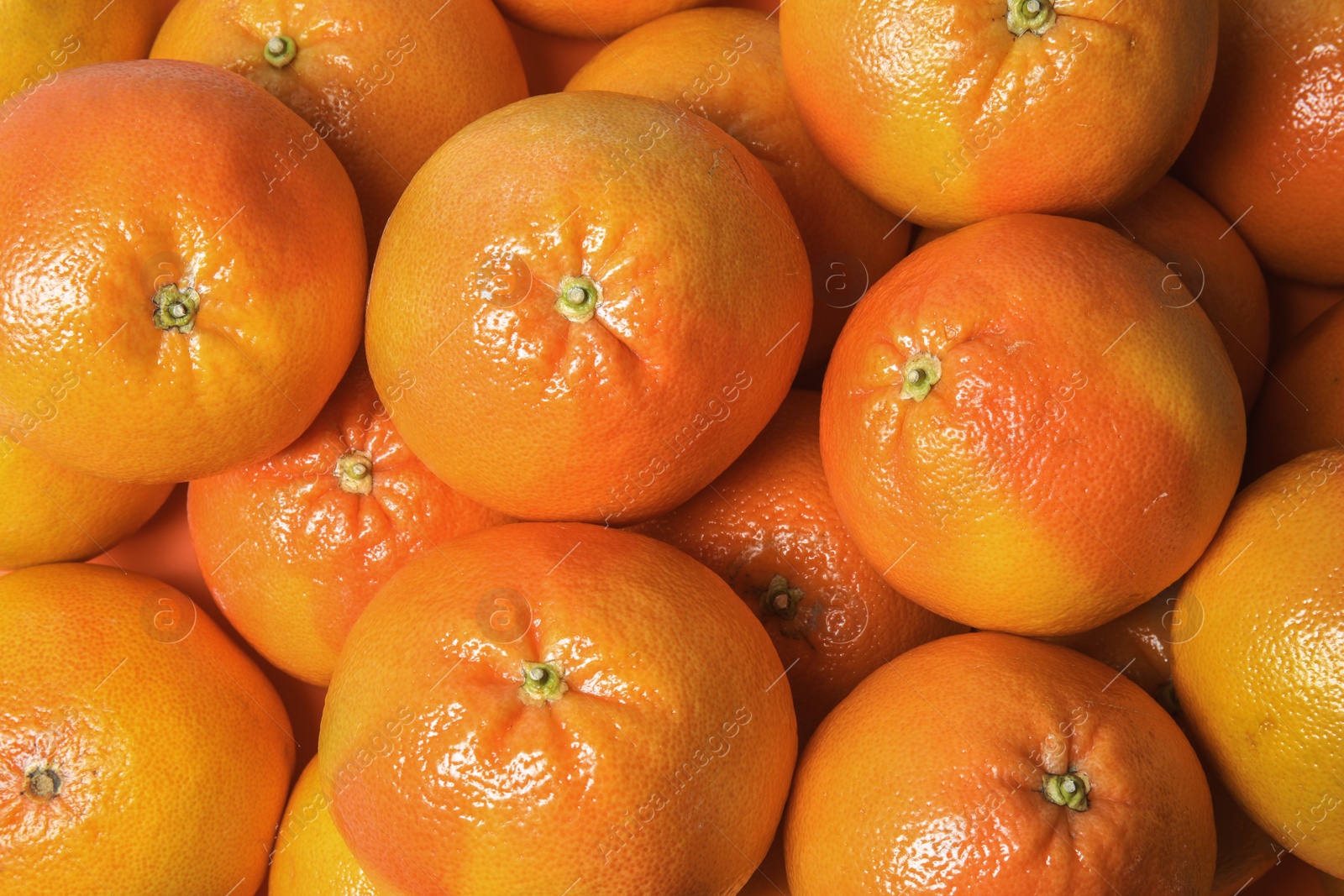 Photo of Many whole fresh ripe grapefruits as background, top view