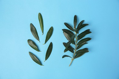 Photo of Olive twig with fresh green leaves on light blue background, flat lay