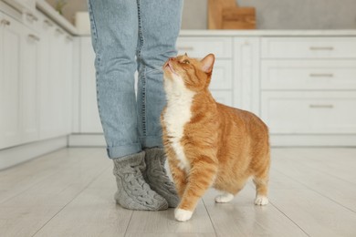 Photo of Woman with cute cat in kitchen at home, closeup