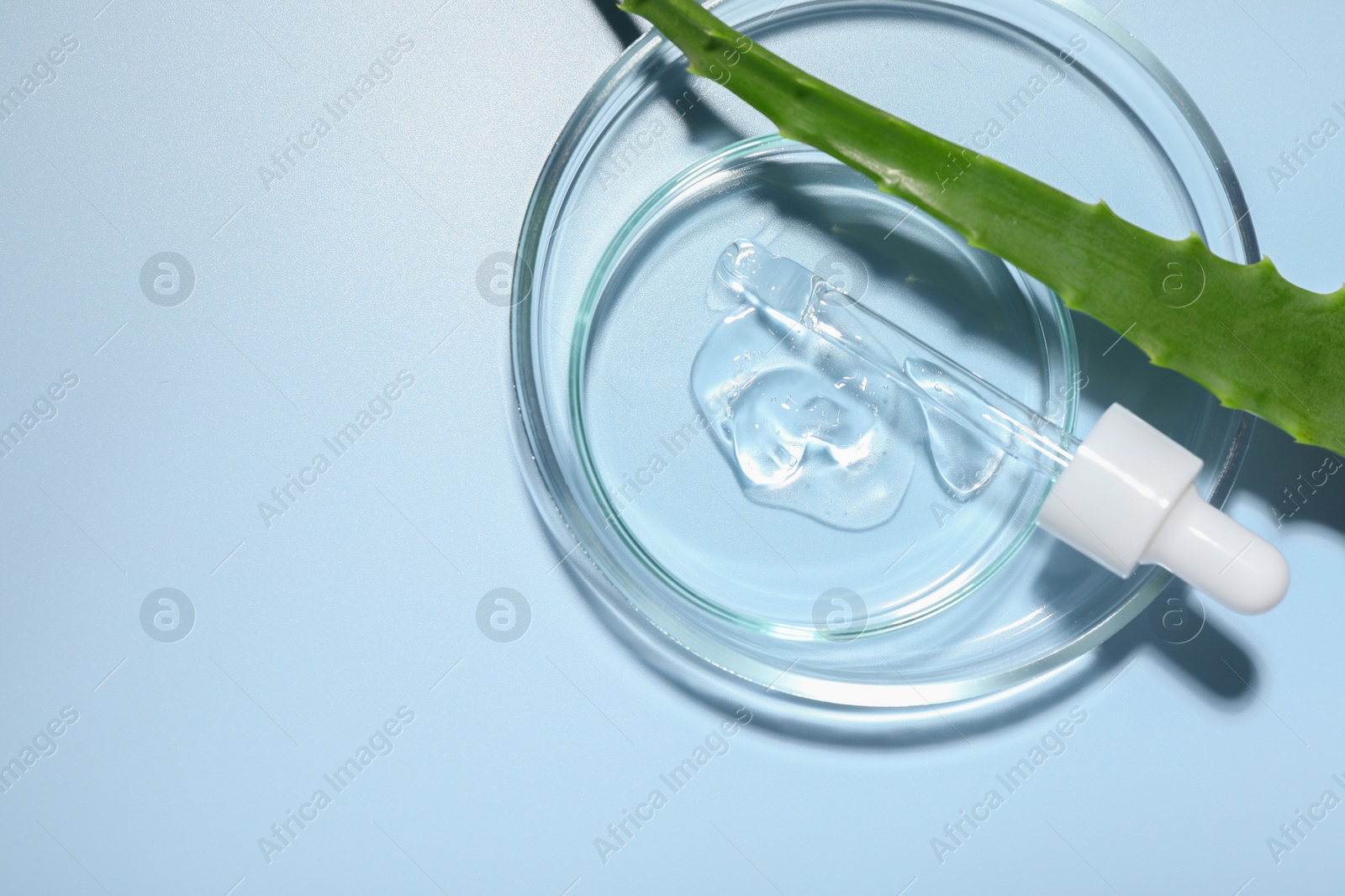 Photo of Petri dishes with cosmetic gel and aloe vera leaf on light blue background, top view. Space for text