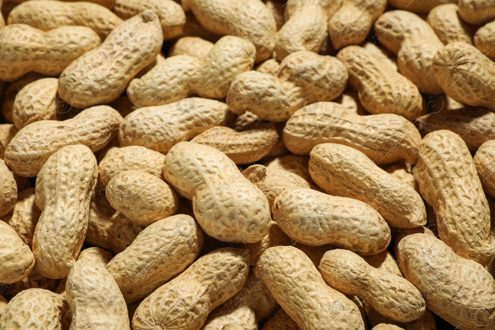 Photo of Many fresh unpeeled peanuts as background, closeup