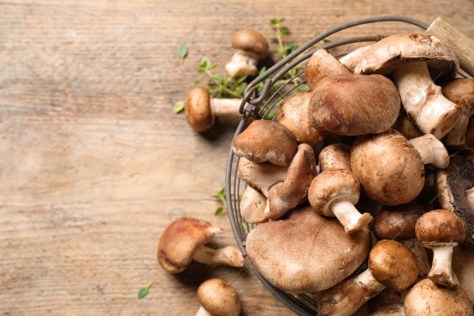 Photo of Different wild mushrooms in metal basket on wooden background, top view. Space for text