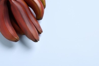 Tasty red baby bananas on light background, top view. Space for text