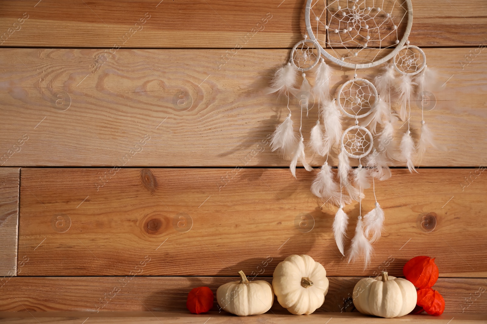 Photo of Beautiful dream catcher, white pumpkins and calyces of physalis near wooden wall, space for text