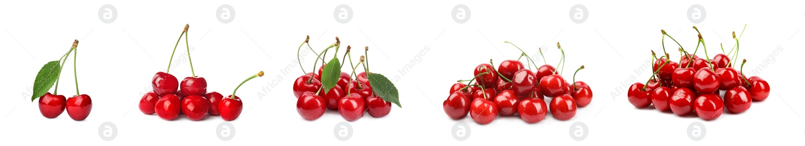 Image of Set of ripe cherries on white background. Banner design