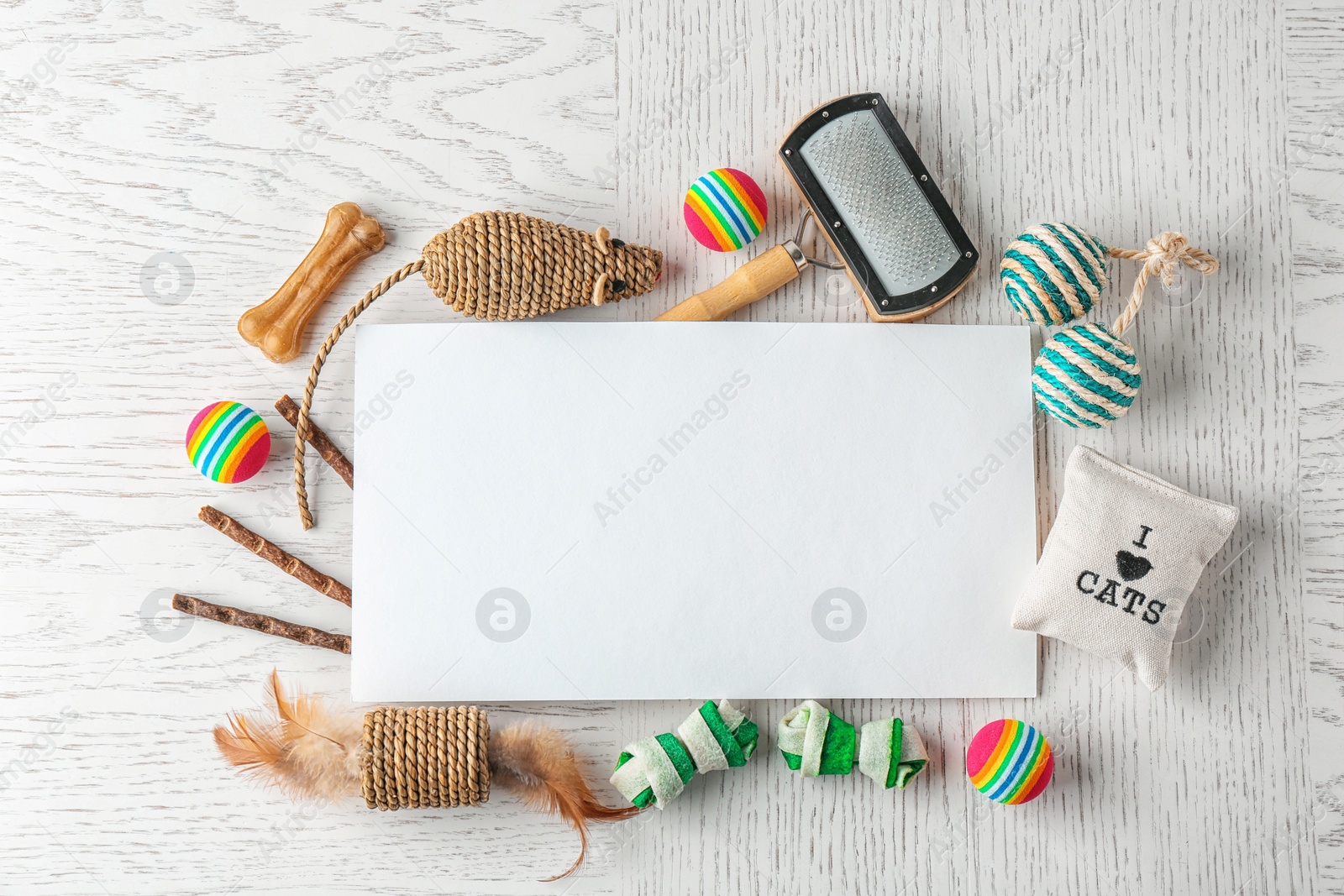 Photo of Flat lay composition with cat accessories on wooden background