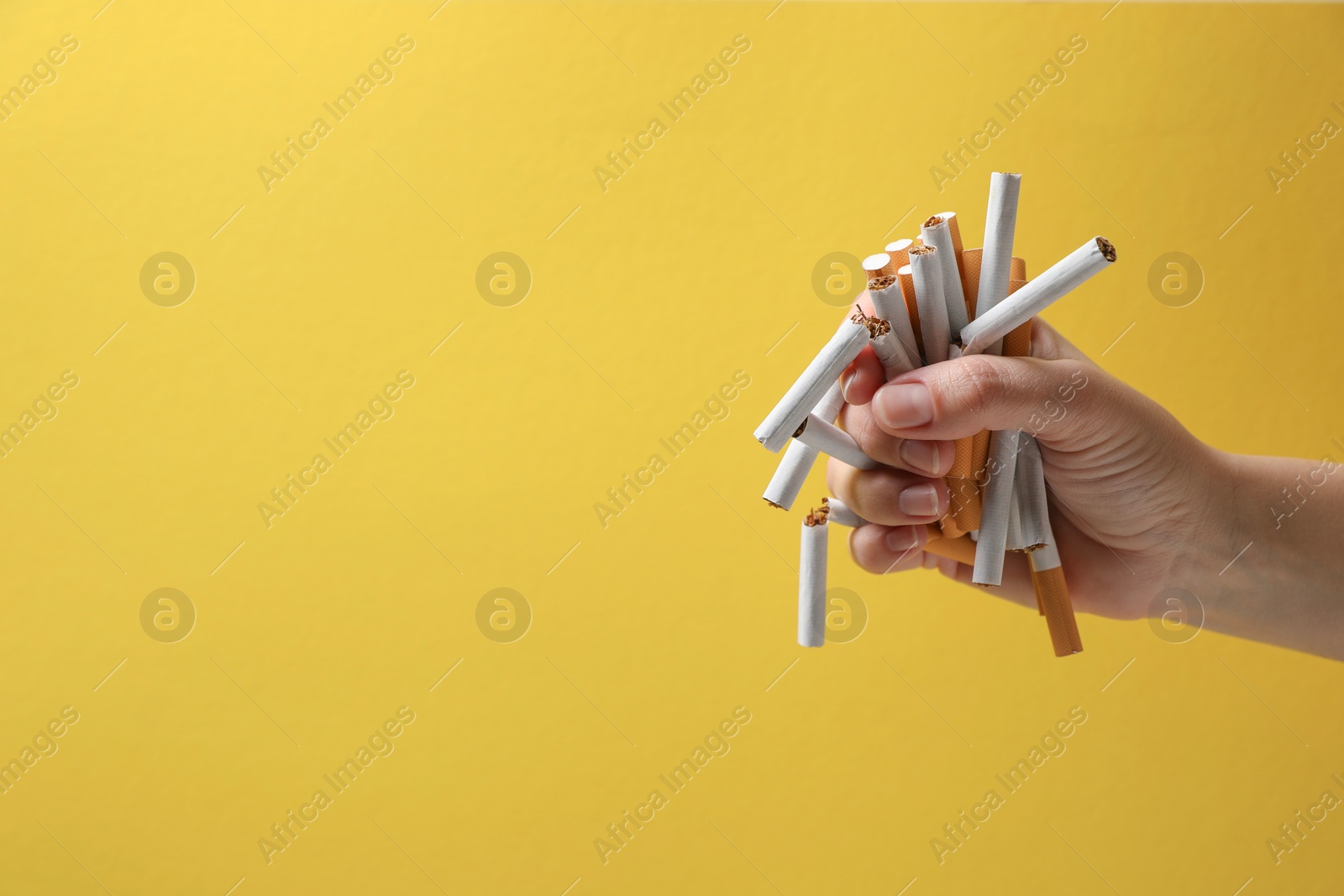 Photo of Stop smoking. Woman holding whole and broken cigarettes on yellow background, closeup. Space for text