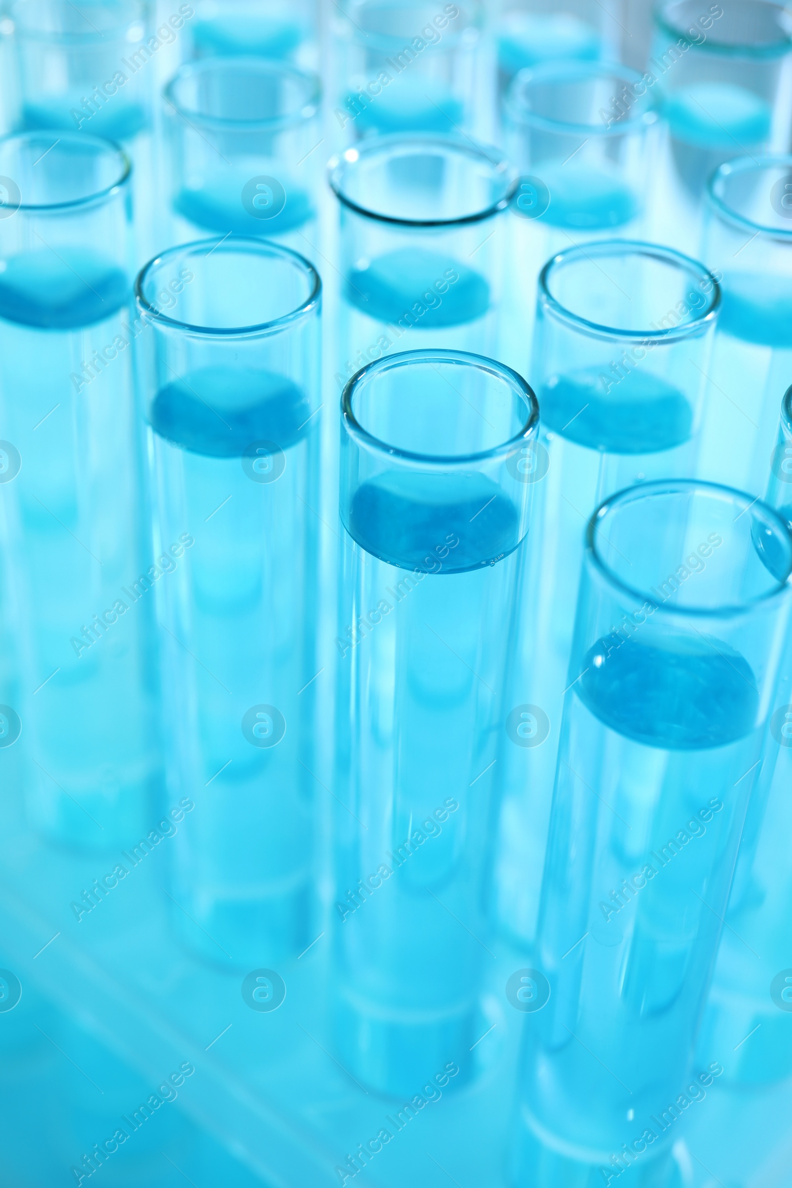 Photo of Many test tubes with light blue liquid, closeup