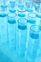 Photo of Many test tubes with light blue liquid, closeup