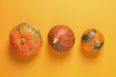 Photo of Flat lay composition with orange pumpkins on color background. Autumn holidays