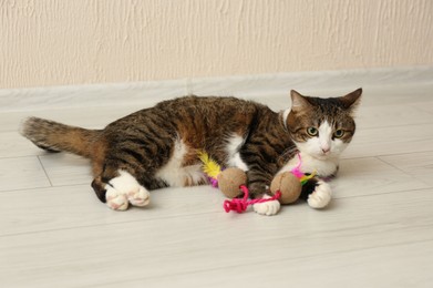 Photo of Cute cat playing with toy on floor at home. Lovely pet