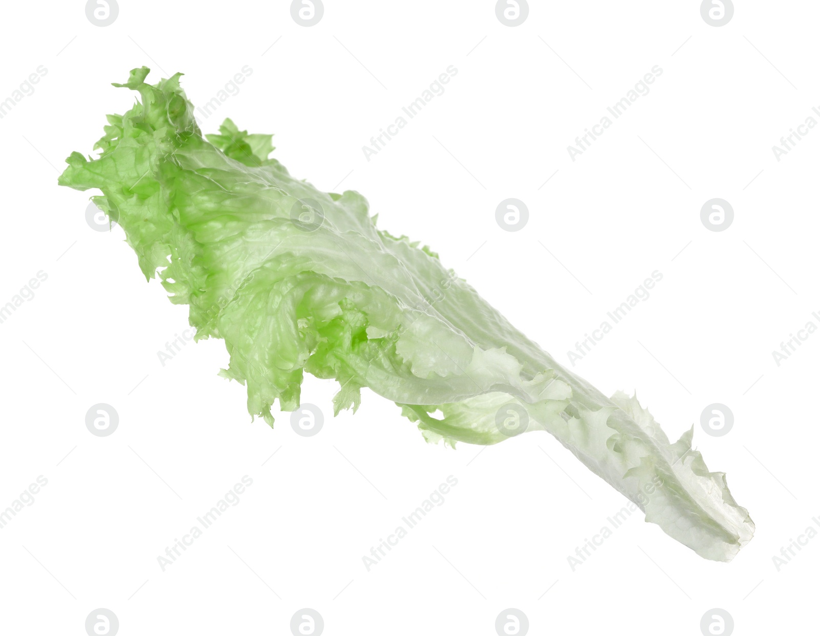 Photo of Fresh green lettuce leaf isolated on white