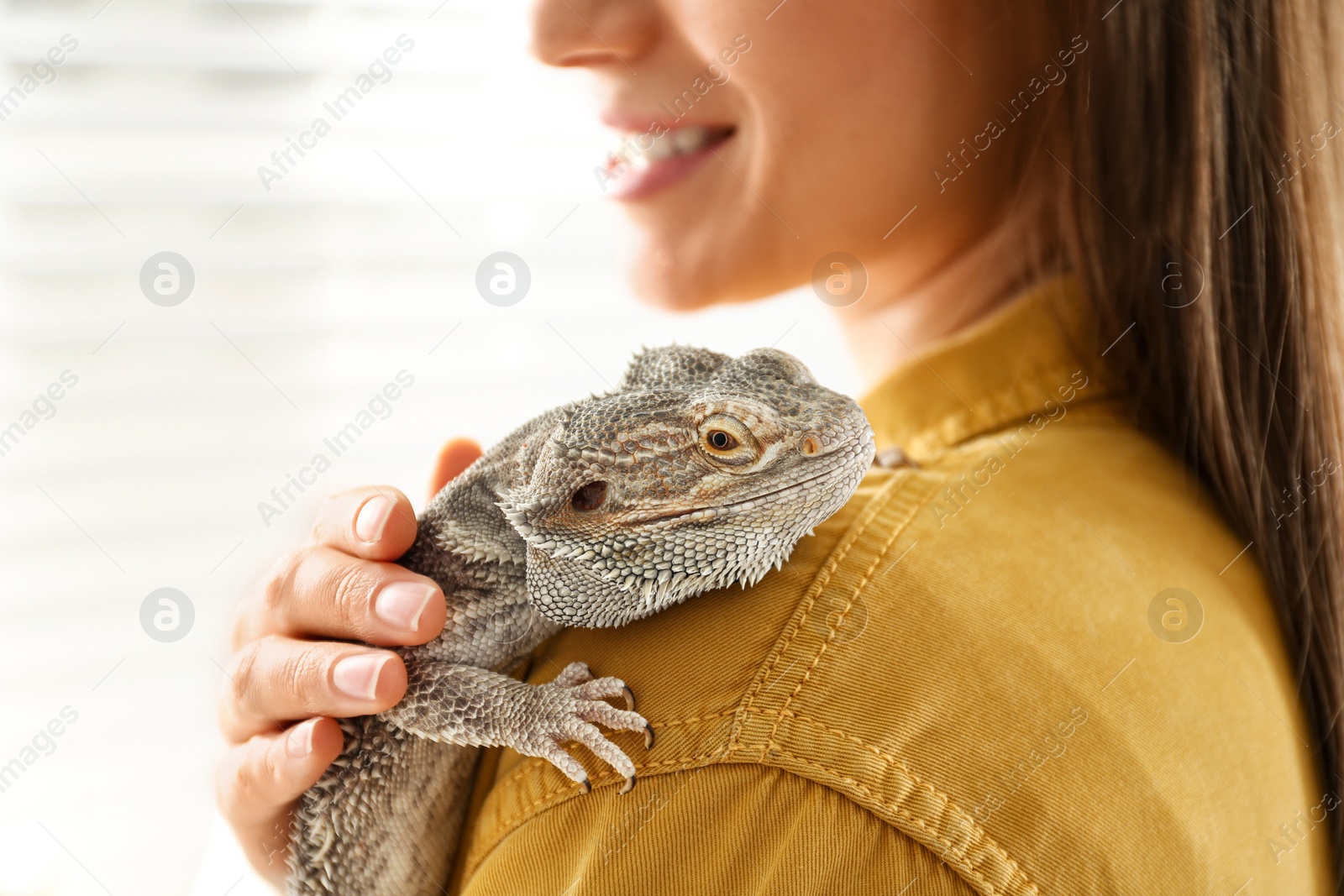 Photo of Young woman with bearded lizard at home, closeup. Exotic pet