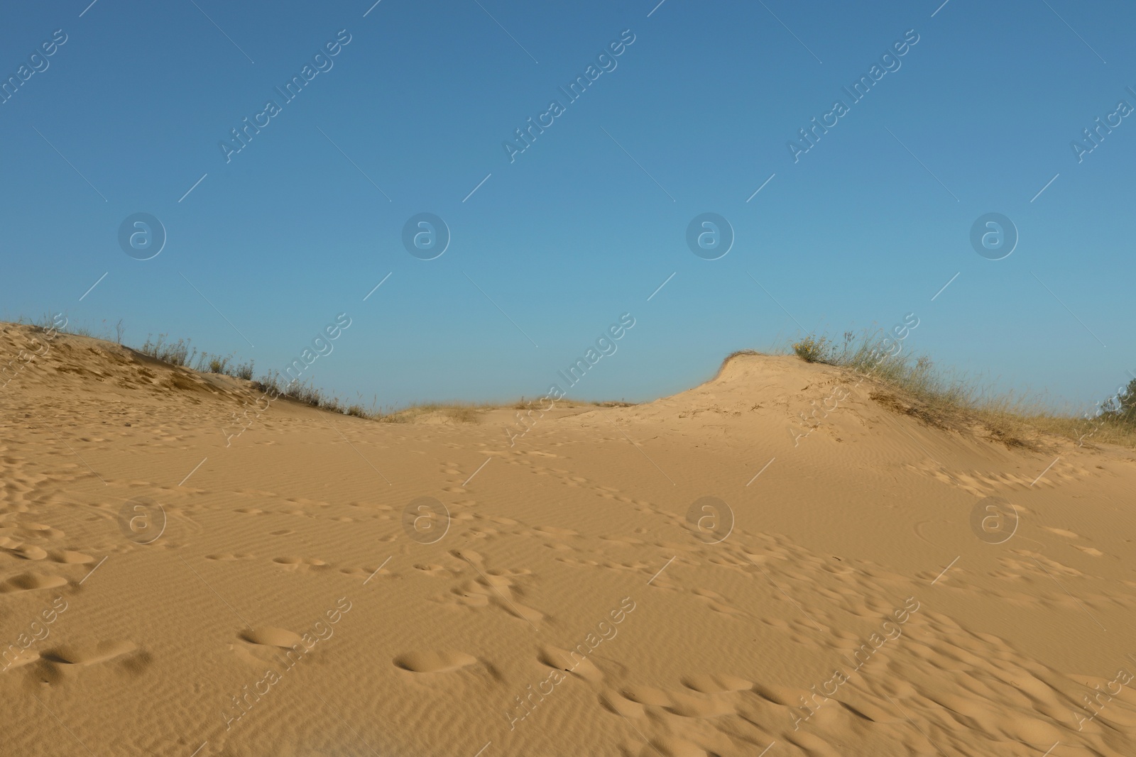 Photo of Picturesque view of desert on sunny day