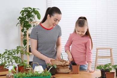 Mother and daughter planting seedling into pot together at wooden table in room