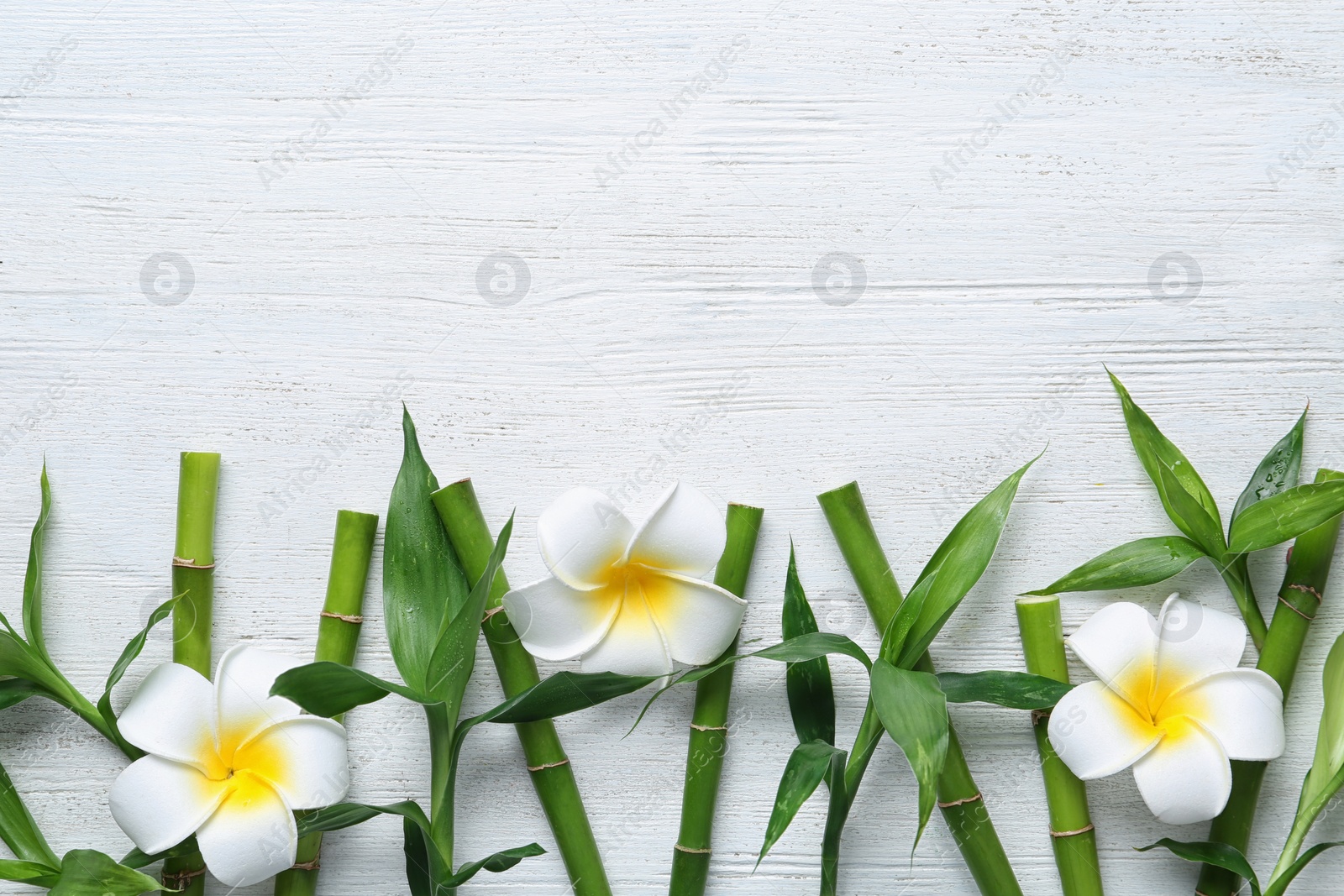 Photo of Flat lay composition with green bamboo stems on white wooden background. Space for text