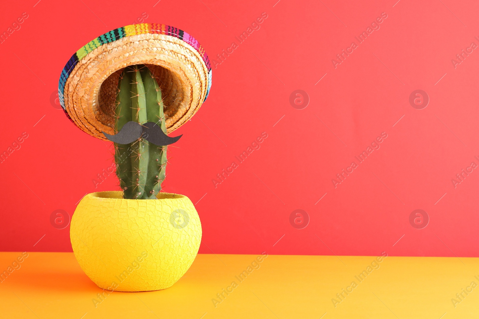 Photo of Cactus with Mexican sombrero hat and fake mustache on color background. Space for text