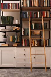 Photo of Home library interior with wooden ladder and collection of books on shelves
