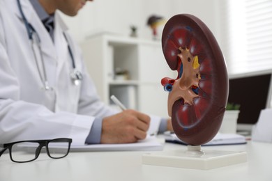 Model of liver on doctor's workplace in clinic
