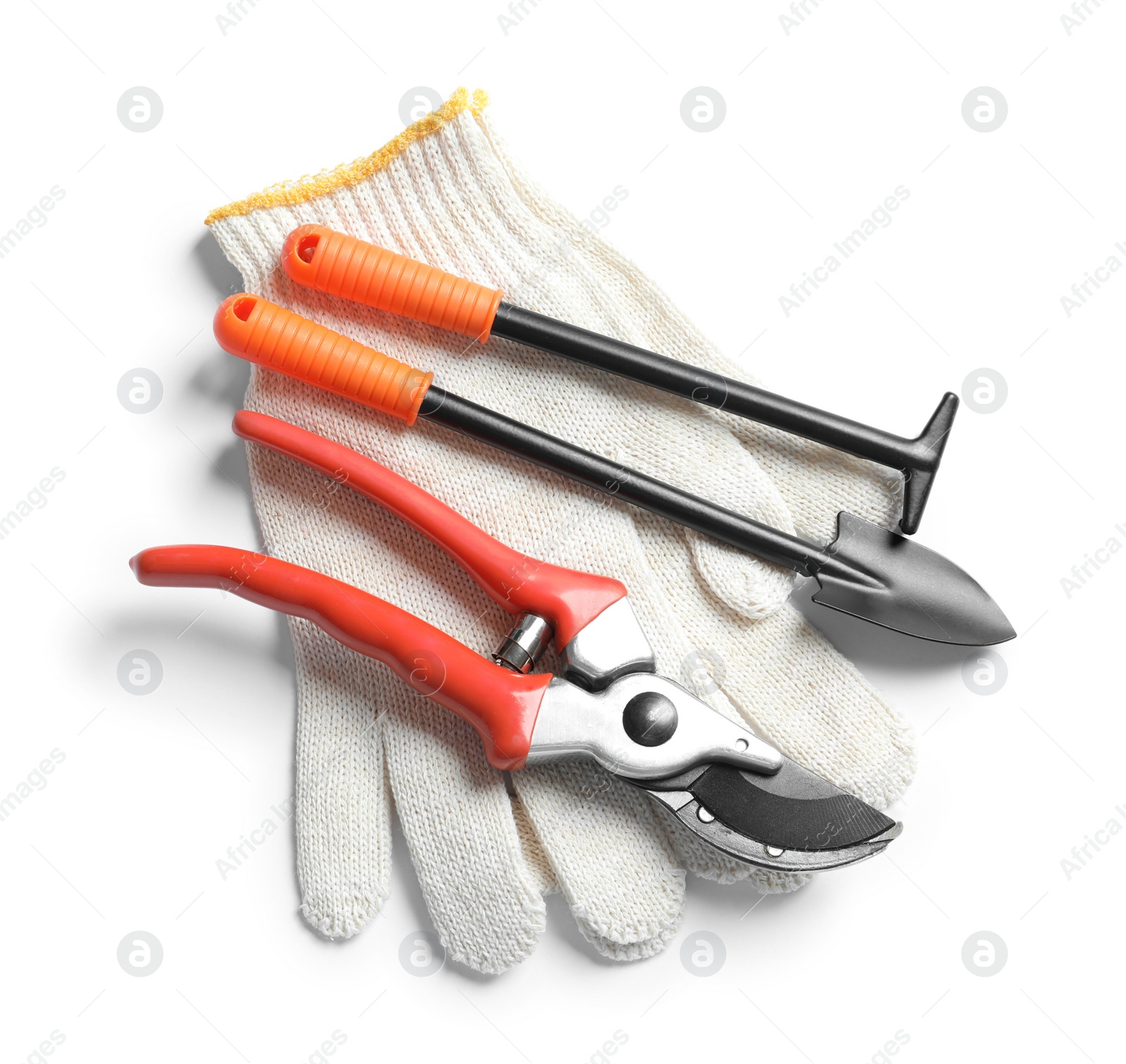 Photo of Set of professional gardening tools on white background