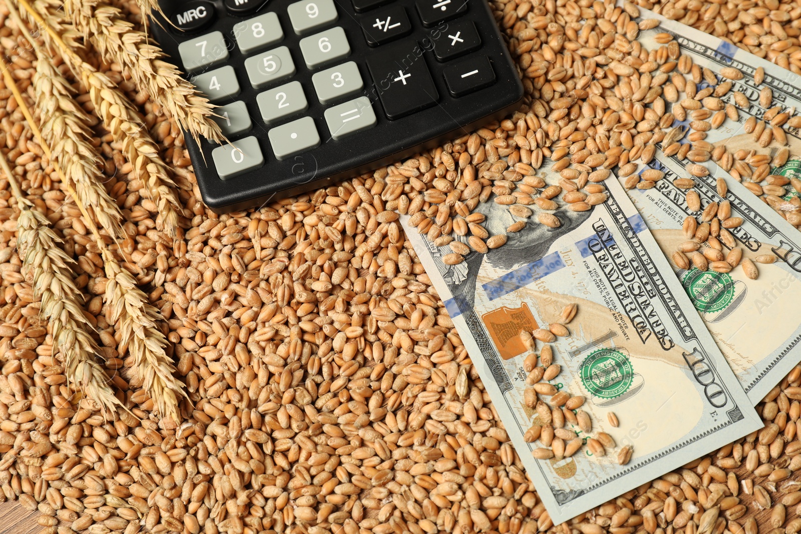 Photo of Dollar banknotes, calculator and wheat ears on grains, above view. Agricultural business