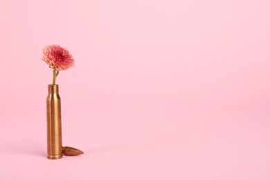 Photo of Bullet cartridge case and beautiful chrysanthemum flower on pink background, space for text