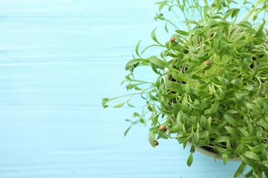 Fresh organic microgreen on light blue wooden table, top view. Space for text