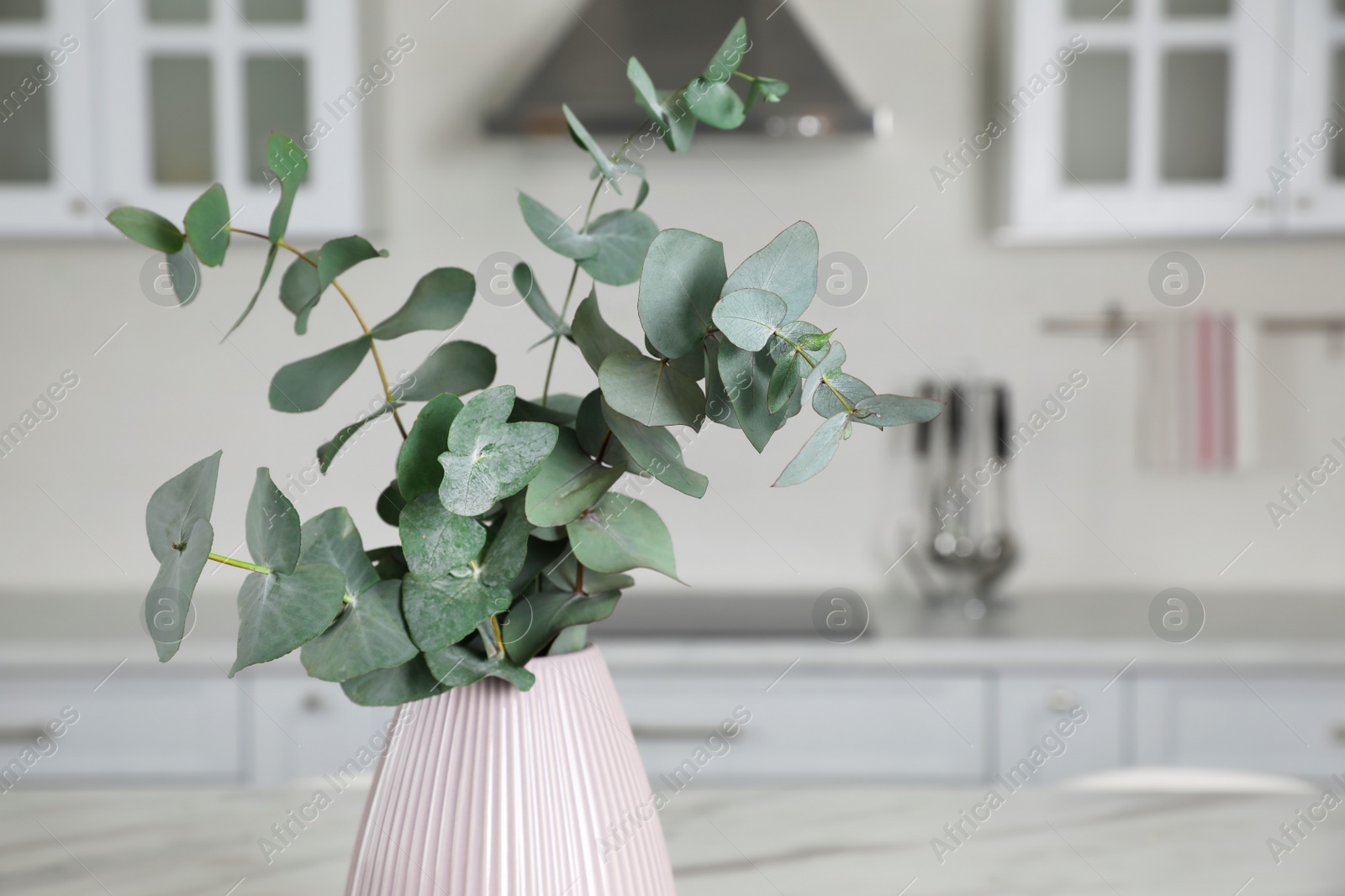 Photo of Vase with beautiful eucalyptus branches in kitchen. Space for text