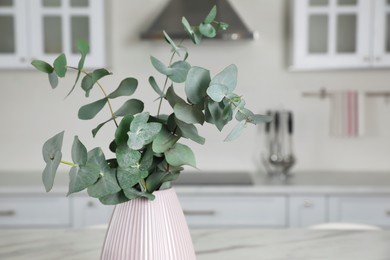 Vase with beautiful eucalyptus branches in kitchen. Space for text