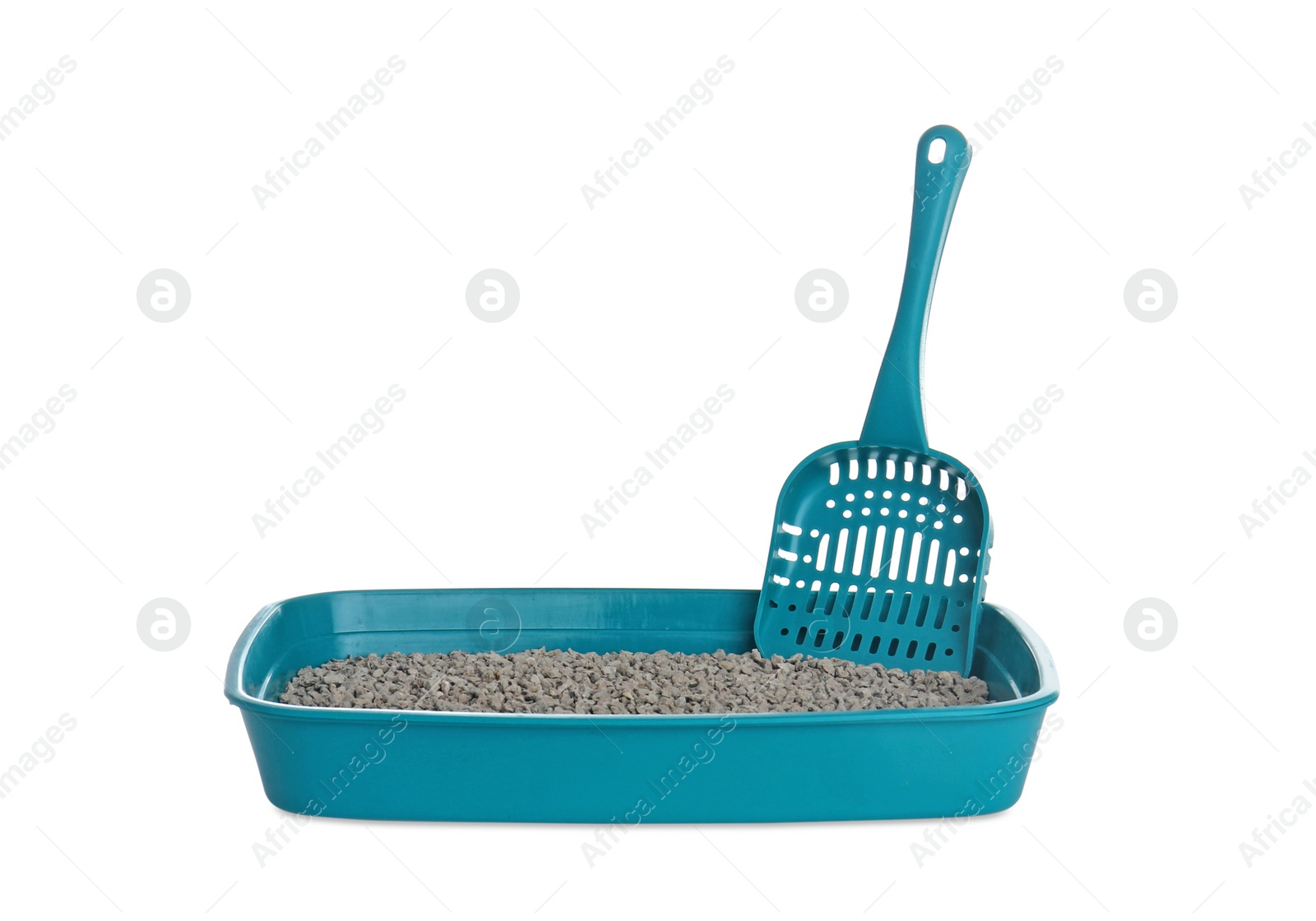 Photo of Cat toilet with scoop on white background. Pet care