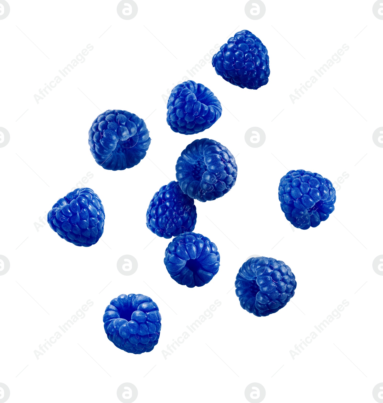 Image of Many fresh blue raspberries falling on white background