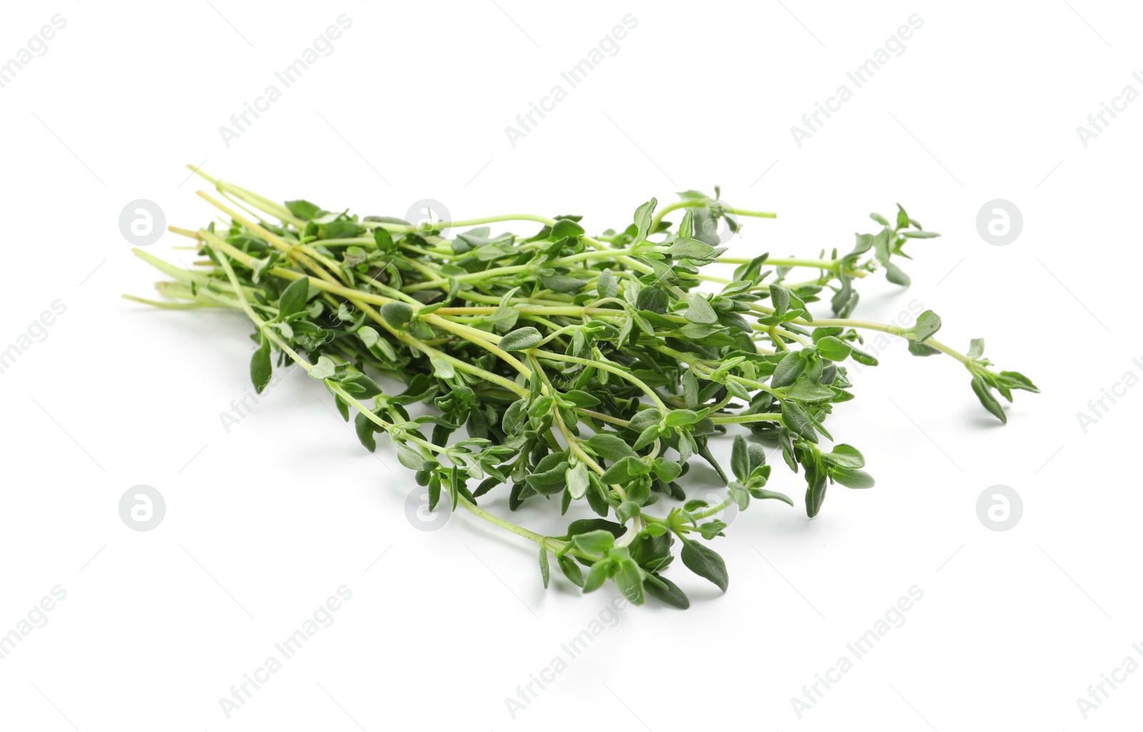 Photo of Bunch of aromatic thyme on white background. Fresh herb