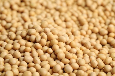 Photo of Heap of soy as background, closeup. Edible legume