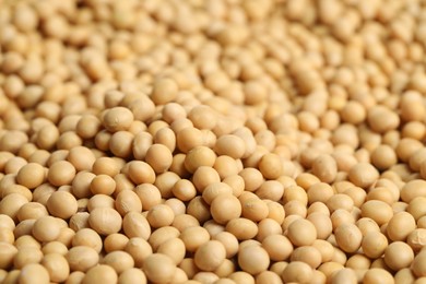 Heap of soy as background, closeup. Edible legume