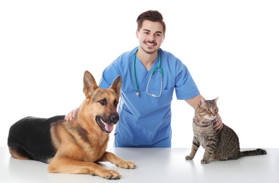 Photo of Veterinarian doc with dog and cat on white background