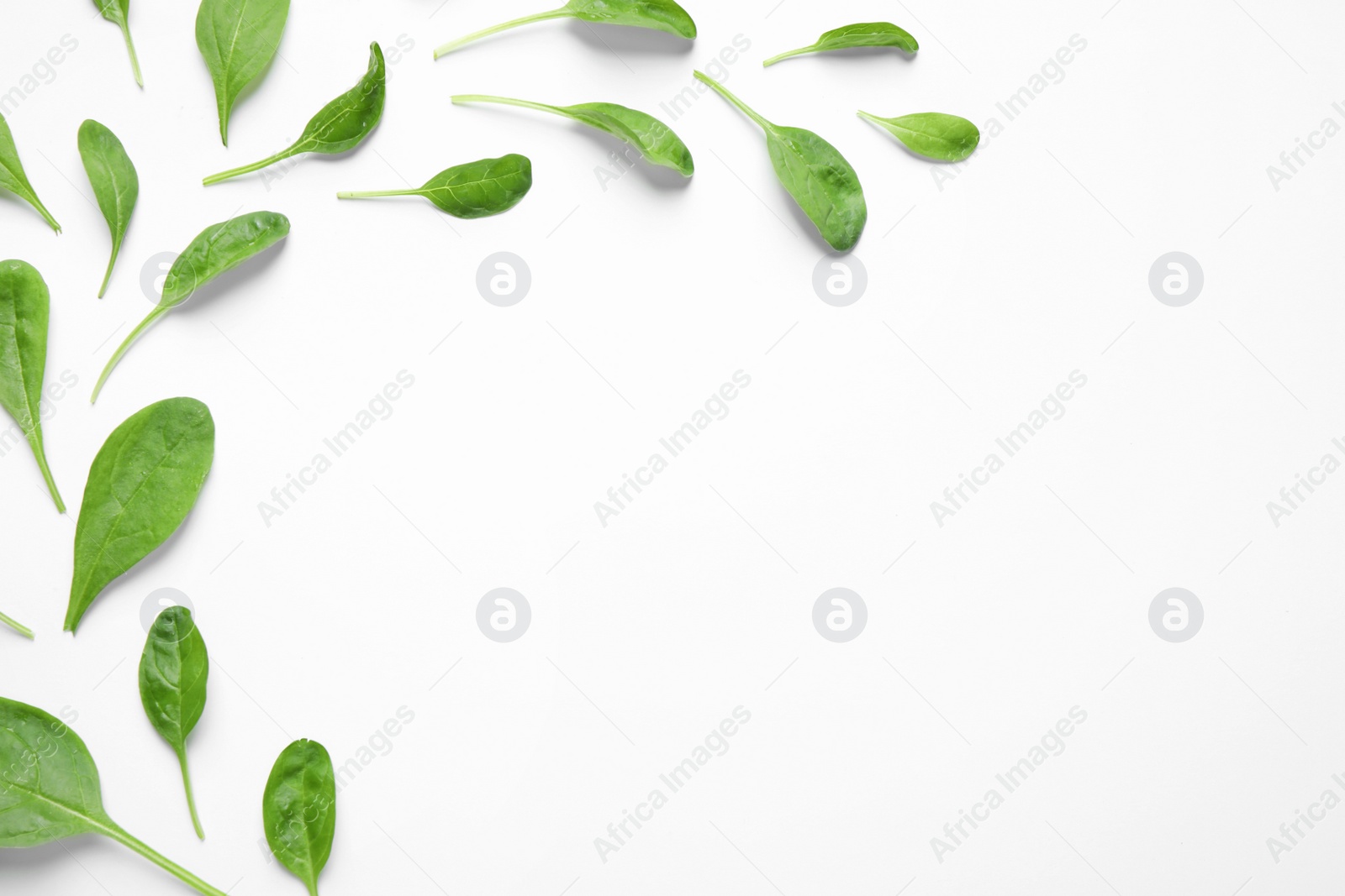 Photo of Fresh green healthy spinach on white background, top view